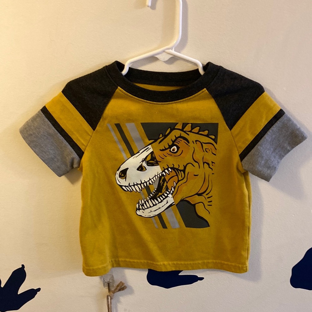 Garanimals Toddler boy dinosaur graphic tee size 2T